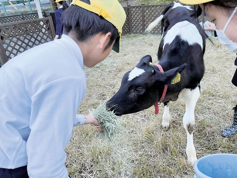 愛知県小中学校長会 ギャラリー