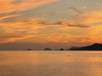 「ノスタルジア」令和7年9月15日780号